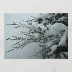 Winterhochzeit Evergreen Baum mit Schnee Einladung