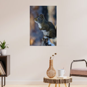 Winterhörnchen, Brauntier, kanadisches Foto Poster