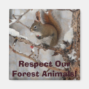 Winterhörnchen, Schnee & Rote Berries Xmas Design Magnet