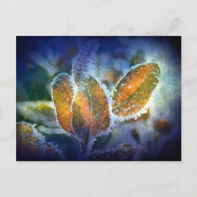 Winterkälte Postkarte (Vorderseite)