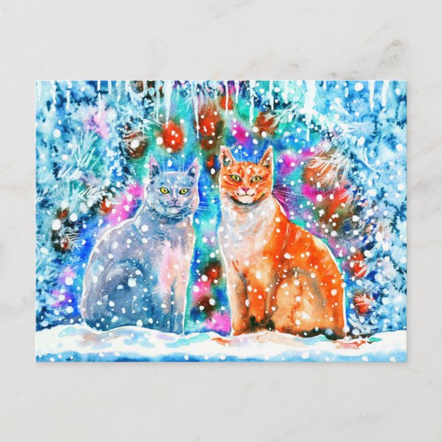 Winterkatzen Postkarte (Vorderseite)