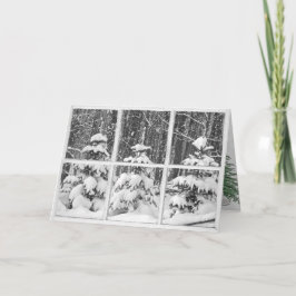 Winterkiefern im Fenster Karte