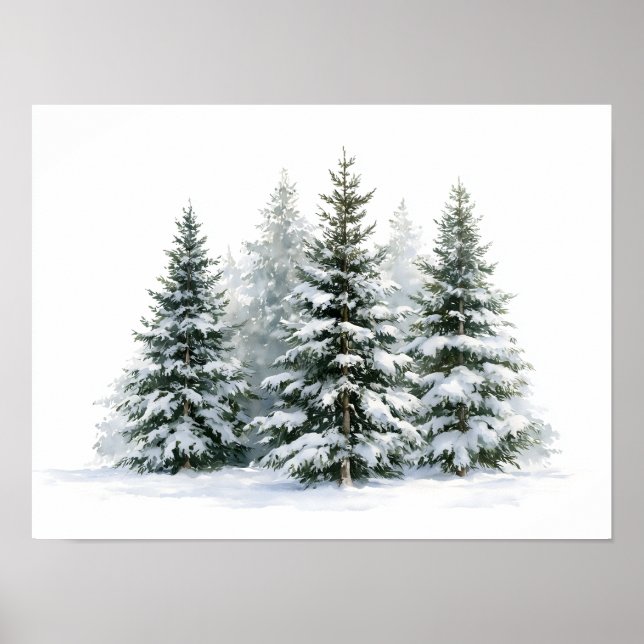 Winterkiefern Poster (Vorne)