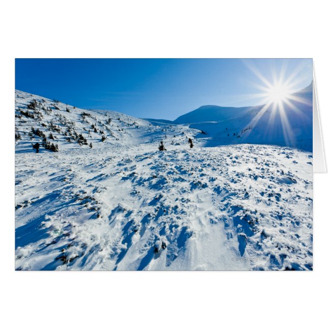 Winterland (Vorderseite (Horizontal))