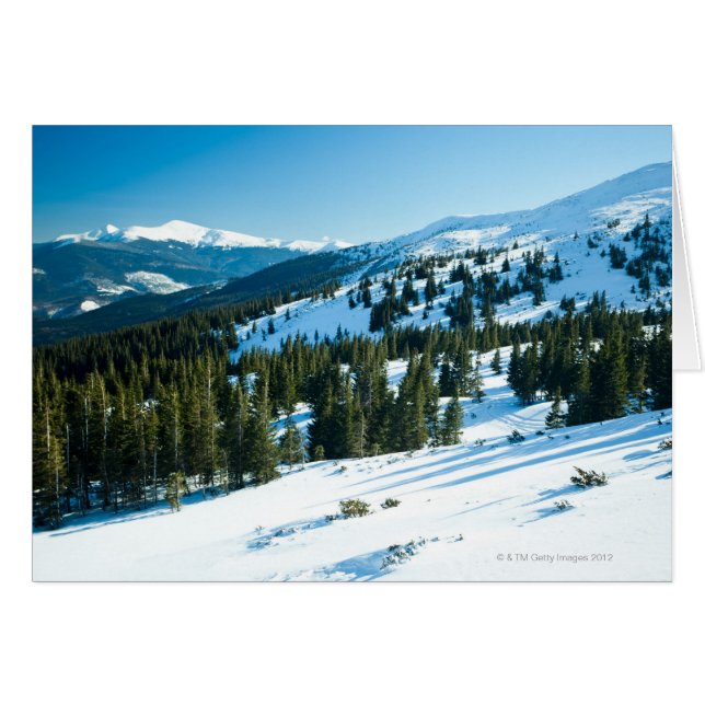 Winterland 3 (Vorderseite (Horizontal))