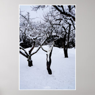 Winterland by Johannes Stötter Poster