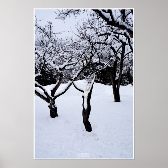 Winterland by Johannes Stötter Poster (Vorne)