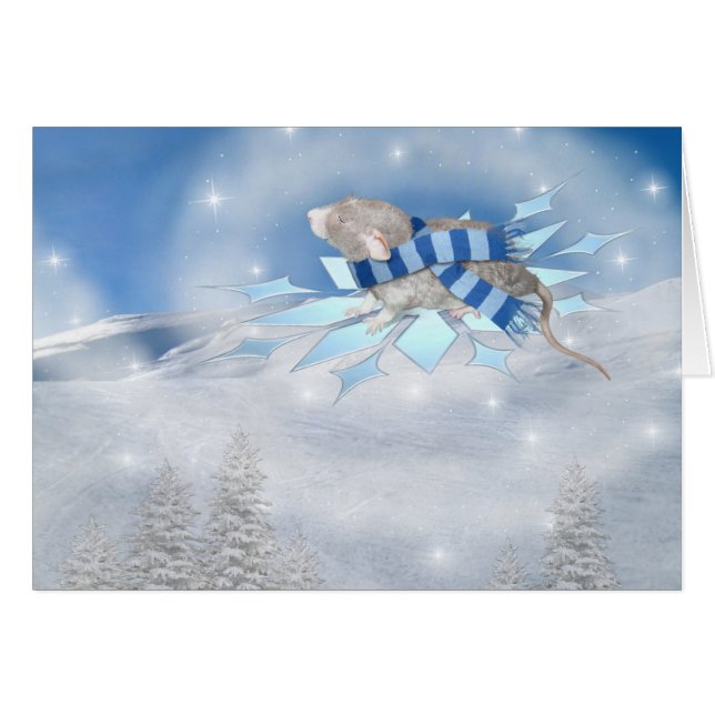 Winterland Journey (Vorderseite (Horizontal))