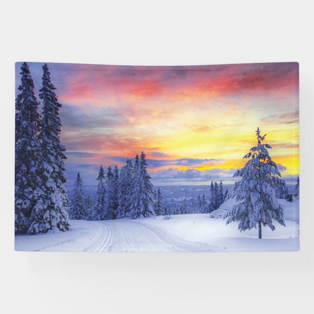 Winterlandschaft Banner (Horizontal)