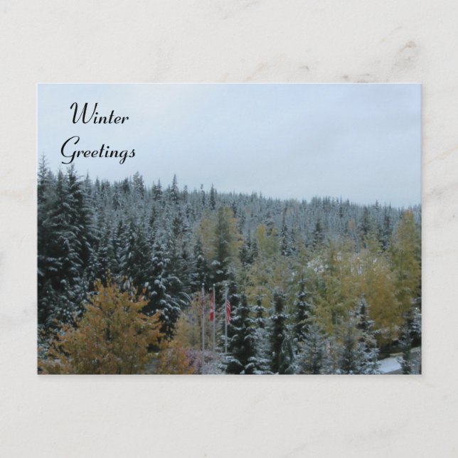Winterlandschaft bei Whistler, B.C. Postkarte (Vorderseite)