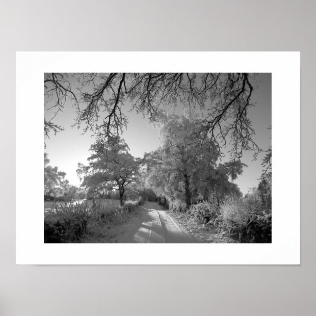 Winterlandschaft: Cheshire Poster (Vorne)