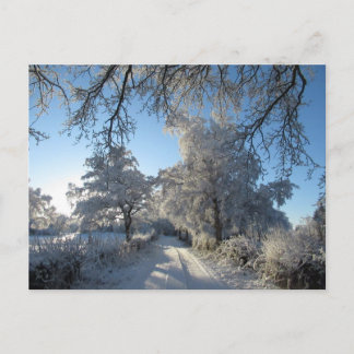 Winterlandschaft: Cheshire Postkarte