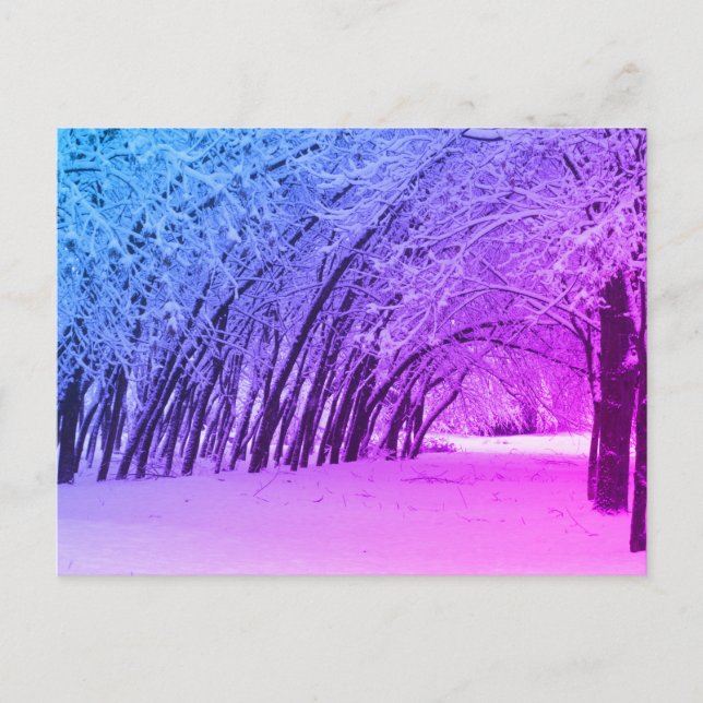 Winterlandschaft Foto Postkarte (Vorderseite)