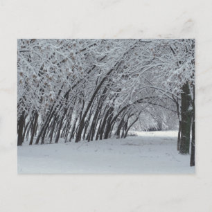 Winterlandschaft Foto Postkarte