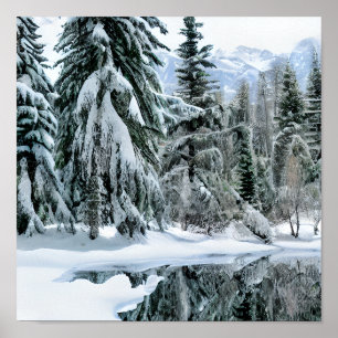 Winterlandschaft Immergrüne Bäume Schnee Berge Poster