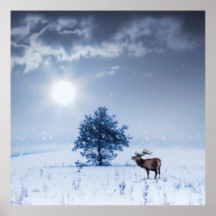 Winterlandschaft in blauer Farbe. Einmaliger Baum  Poster