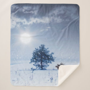 Winterlandschaft in blauer Farbe. Einmaliger Baum  Sherpadecke