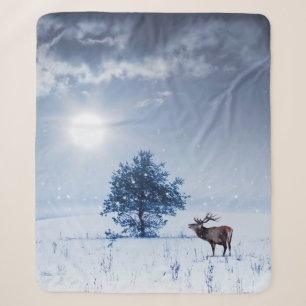 Winterlandschaft in blauer Farbe. Einsamer Baum un Sherpadecke