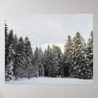 Winterlandschaft in der Nähe von Königsfeld, Schwa