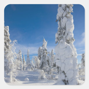 Winterlandschaft in Lappland Quadratischer Aufkleber