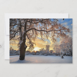 Winterlandschaft in Lettland