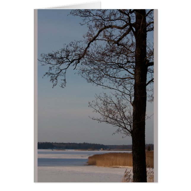 Winterlandschaft mit Baum CC0370 (Vorne)