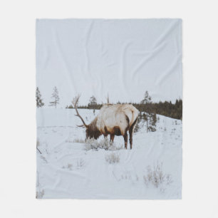 WINTERLANDSCHAFT MIT DECKE