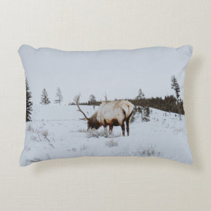 WINTERLANDSCHAFT MIT DECKE DEKOKISSEN
