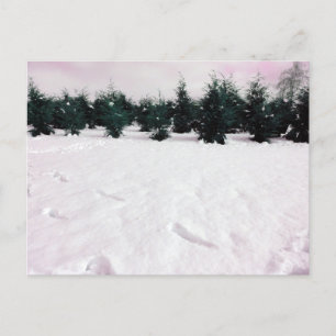 Winterlandschaft mit Lärchen im Schnee Postkarte