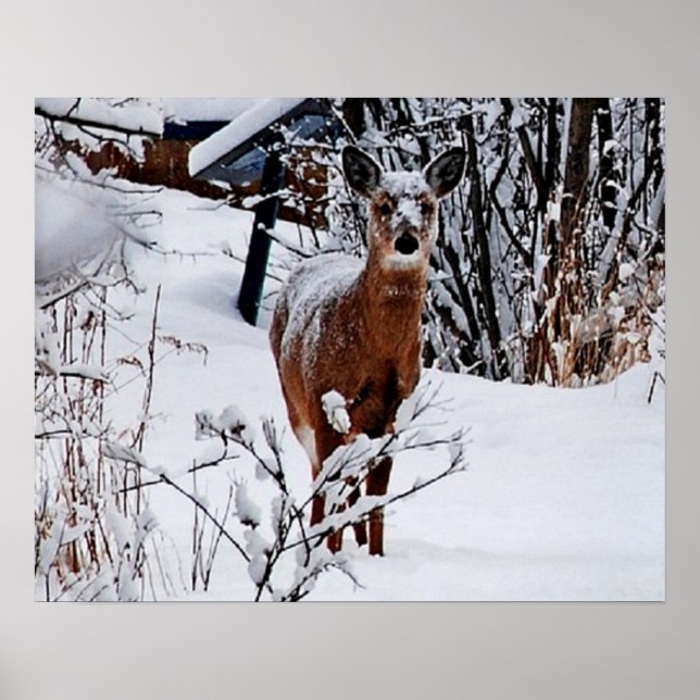 Winterlandschaft mit Rotwild Wert Poster Papier (Vorne)