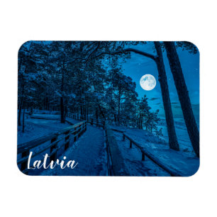 Winterlandschaft mit schneebedecktem Pinienwald Magnet