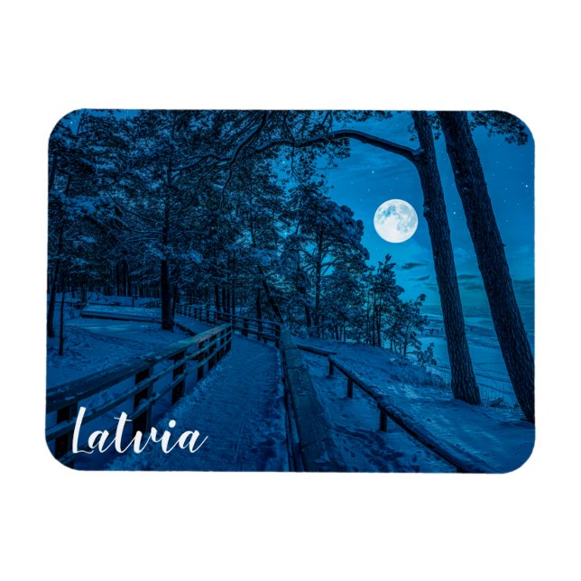 Winterlandschaft mit schneebedecktem Pinienwald Magnet (Horizontal)
