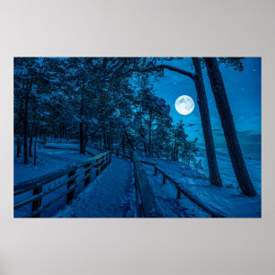 Winterlandschaft mit schneebedecktem Pinienwald Poster