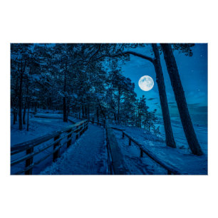 Winterlandschaft mit schneebedecktem Pinienwald Poster