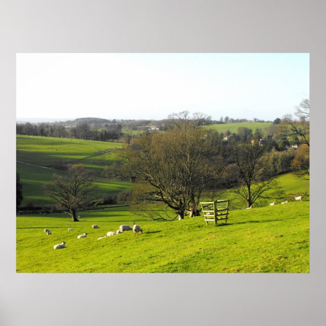 Winterlandschaft nahe Chard in Somerset Poster (Vorne)