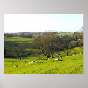 Winterlandschaft nahe Mangoldgemüse in Somerset Poster