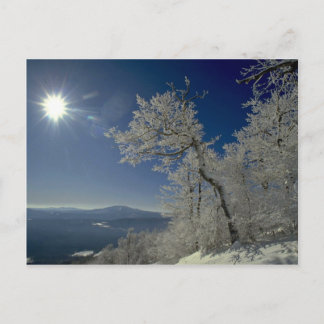 Winterlandschaft, New England Postkarte