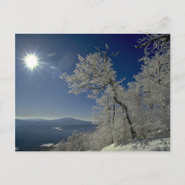Winterlandschaft, New England Postkarte (Vorderseite)
