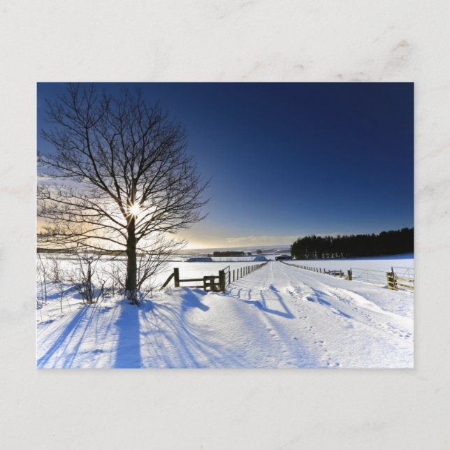 Winterlandschaft Postkarte (Vorderseite)