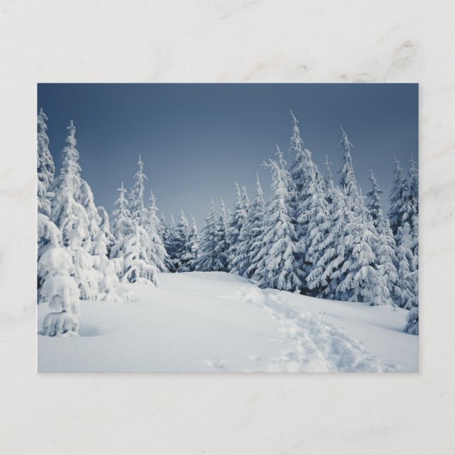 Winterlandschaft Postkarte (Vorderseite)