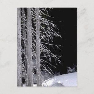 Winterlandschaft Postkarte