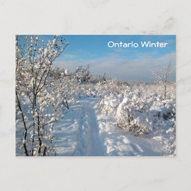Winterlandschaft - Postkarte (Vorderseite)