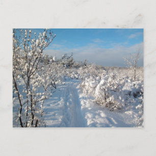 Winterlandschaft - Postkarte