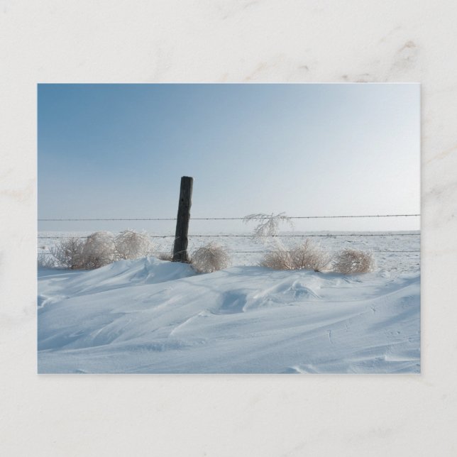 Winterlandschaft Postkarte (Vorderseite)
