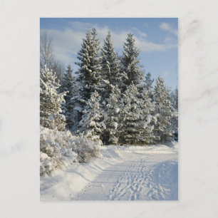 Winterlandschaft Postkarte