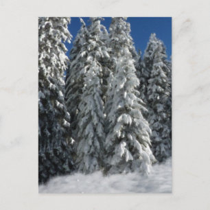 Winterlandschaft Postkarte
