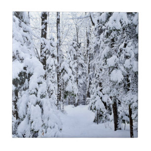 Winterlandschaft Schnee im Wald Fliese
