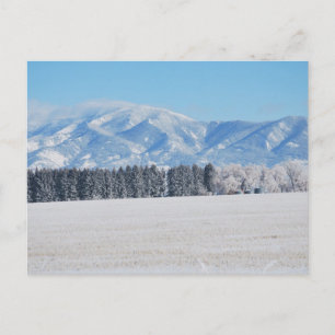 Winterlandschaft von Bäumen, Schnee und Bergen Postkarte
