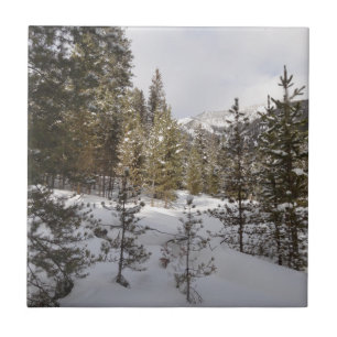 Winterliche Bergszene in Montana Fliese
