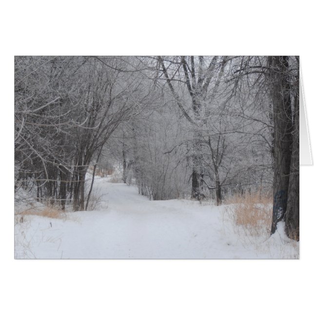 Winterliche Einsamkeit (Vorderseite (Horizontal))